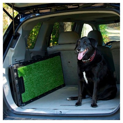 target pet ramp