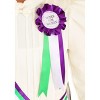 HalloweenCostumes.com Susan B Anthony Costume for Girls - 2 of 3