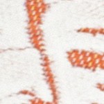 orange/ivory