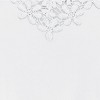 Collections Etc Floral Lace V-Neck Short Flutter Sleeve Top - 4 of 4