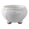 Modern Flower Pot for Home Decor with Raised Base - Indoor and Outdoor Plant Pot for Succulents, Houseplants, Patio, or Garden Decor - 6" White - 4 of 4