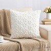 REGALWOVEN Easter Rabbit Jacquard Soft Plush Throw Pillow Covers Set of 2 for Bedroom Sofa Home Decor 18 x 18 Inch - 2 of 4