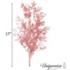 Uniquewise Preserved Real Floral Stems Chic Vase Fillers & Accents for Bouquets Centerpieces - 3 of 4