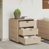 vidaXL Patio Storage Cabinet Tool Organizer Outdoor Furniture Poly Rattan - 3 of 4