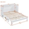 NicBex Full Size Murphy Bed 56.7" Wooden Bed Frame Morden Hideaway Wall Bed with Top Shelf, 2 Drawers for Guest Room - 2 of 4