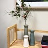 Sullivans Artificial Birch Eucalyptus Pod Stem 28" Green - 3 of 3