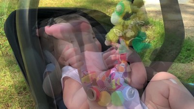 Ollie Multicolor Plush Hanging Activity Toy with Chime