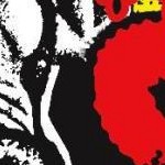 clear push pins bundle