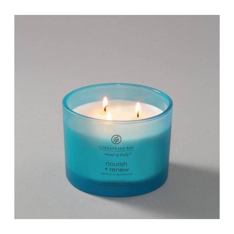 Frosted Glass Nourish + Renew Lidded Jar Candle Light Blue - Mind & Body by Chesapeake Bay Candle, 5 of 10