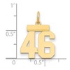 Black Bow Jewelry 14k Yellow Gold, Athletic Collection, Small Polished Number 46 Pendant - 2 of 3