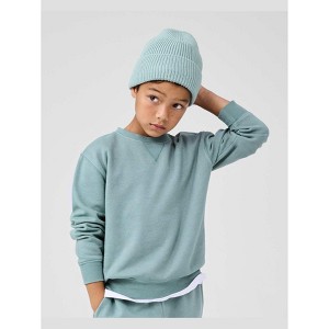 The Children's Place Baby Active Long Sleeve Garment Dyed Premium Fleece Sweatshirt - 1 of 4