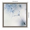 Amanti Art Baby Blue Dandelion Flower by Ingrid Beddoes Canvas Wall Art Print Framed 16 x 16-in. - 4 of 4