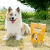 Ready Pet Go Turmeric & Collagen Dog Chews, Hip and Joint Chews for Dogs Mobility & Comfort, Bacon & Cheese Flavor, 90ct - 4 of 4