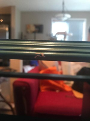 Guest review image 1 of 1, zoom in