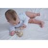 Plantoys| Bear - 4 of 4