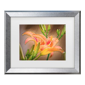 Trademark Fine Art - Leslie Montgomery A Gift From the Orient Matted Framed Art - 1 of 4