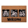 Mickey Mouse 2pk Coir Door Mats Gray: Slip Resistant, Outdoor Welcome Mats - 4 of 4