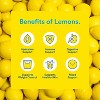 Lemon Perfect Strawberry Passion Fruit, Hydrating Flavored Lemon Water, Zero Sugar, Delicious And Refreshing, Organic, 15.2 Fl Oz Bottles (12-Pack) - 2 of 4