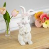 Northlight Mother and Baby Bunny Outdoor Garden Easter Statue - 9.25" - image 2 of 4