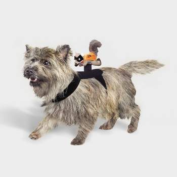 Rider Wings Halloween Superhero Squirrel Cat and Dog Costume - Hyde & EEK! Boutique™