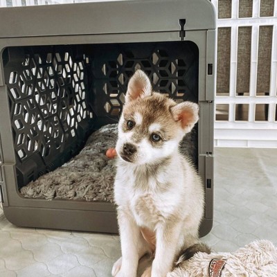 Gray Collapsible Modern Dog and Cat Crate