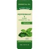 Nature's Truth Peppermint Aromatherapy Essential Oil - 0.51 fl oz - image 3 of 4