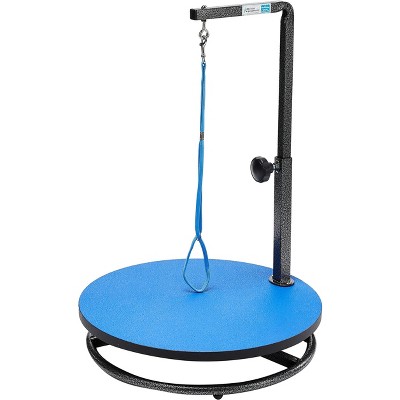Blue 18in Small Pet Grooming Table with Adjustable Arm