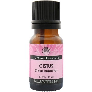 Plantlife Cistus Aromatherapy Essential Oil – 100% Pure, Therapeutic Grade, No Additives or Fillers, 10 ml - 1 of 2