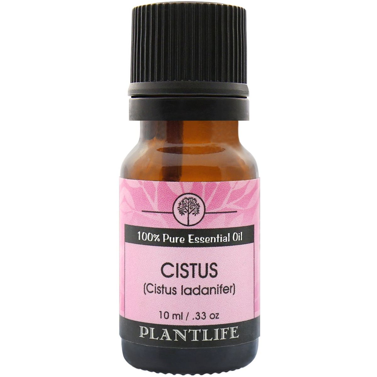 Plantlife Cistus Aromatherapy Essential Oil – 100% Pure, Therapeutic Grade, No Additives or Fillers, 10 ml
