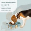 Wonder Meadow - Non-Spill Slanted Bowls With Bamboo Stand - 3 of 4