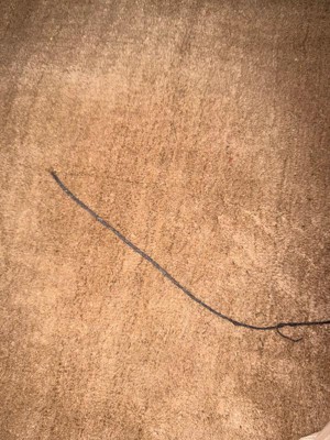 Guest review image 2 of 2, zoom in