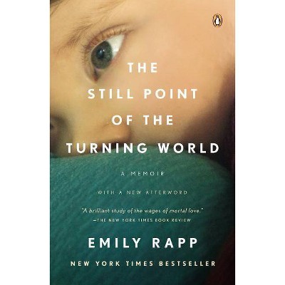 The Still Point of the Turning World - by  Emily Rapp Black (Paperback)