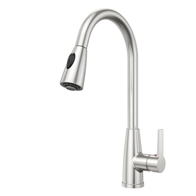 Single Handle Kitchen Faucets with Pull Down Sprayer in Chrome