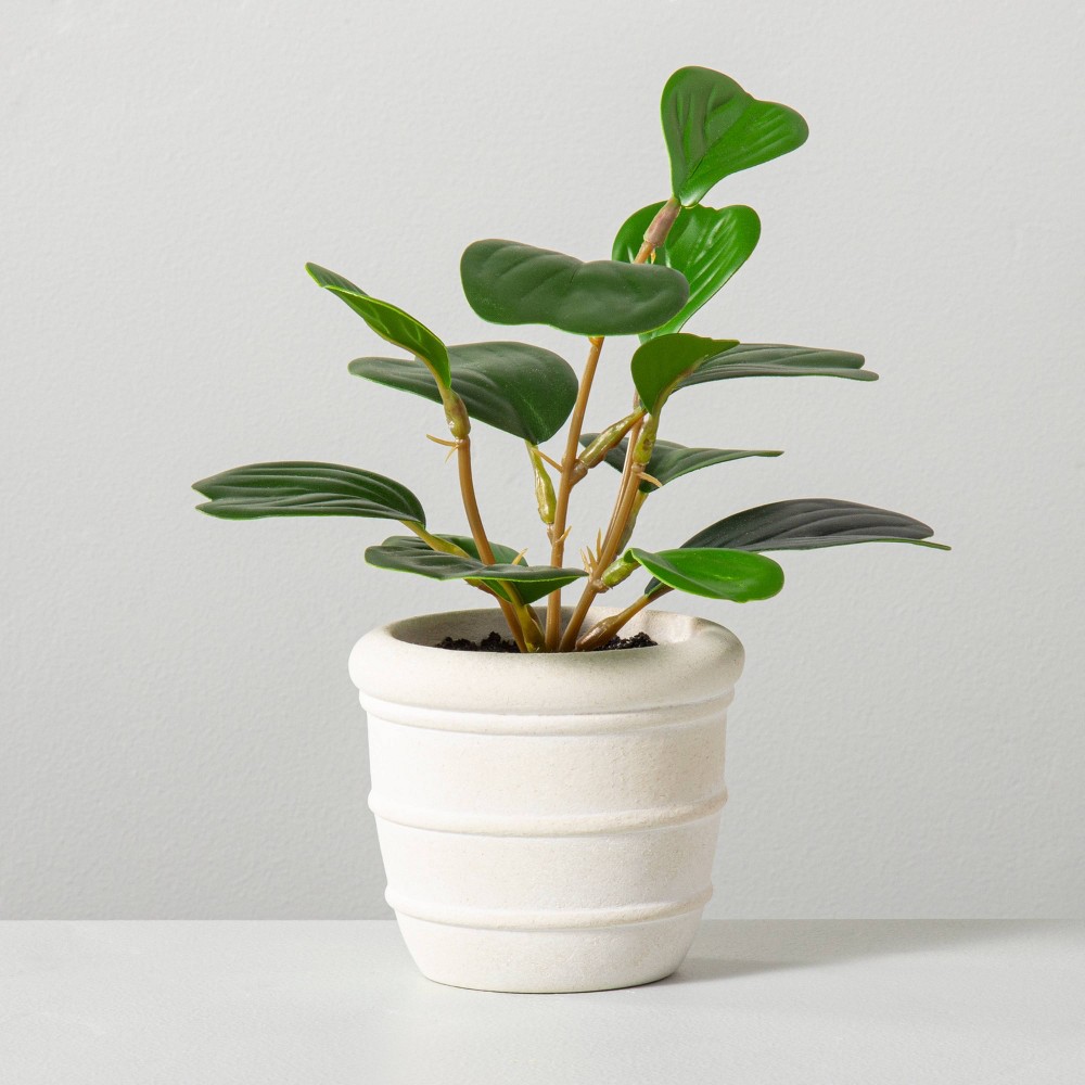 Faux Mini Hoya Heart Potted Plant - Hearth & Hand with Magnolia