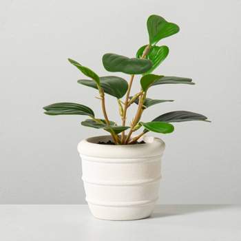 8" Mini Faux Hoya Heart Plant - Hearth & Hand™ with Magnolia