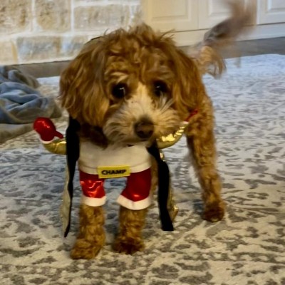 Guest review image 1 of 1, zoom in