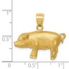 Black Bow Jewelry 14k Yellow Gold 2D Satin & Diamond Cut Pig Pendant - 4 of 4