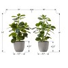 NicBex Artificial Plant Set Of 2, Fake Plants in White Pots, Tabletop Faux Plants Indoor for Living Room/Office/Windowsill Decor - 3 of 4