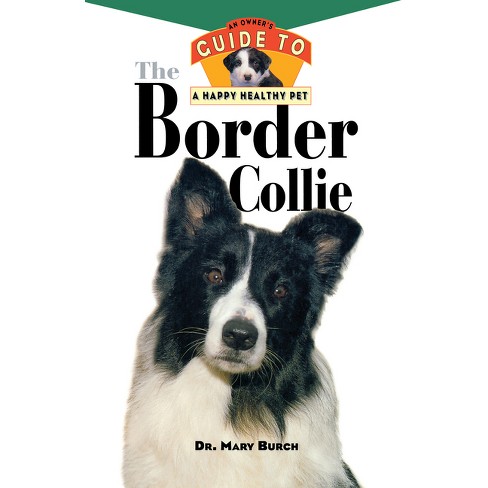 Lively Border Collie: Nature, Keeping and Care