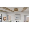 Islander 4-Light Matte Black Ceiling Fan Light - 3 of 4