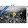 Trends International Joseph S Giacalone - A Bit Of Yellow Unframed Wall Poster Prints - 3 of 4