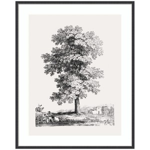 Kate and Laurel Framed Art Jean Victor Bertin Study of a Tree 1816 by The Art Institute of Chicago, 33x41, Stylish Black Narrow - 1 of 4