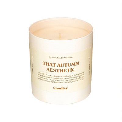 Candier Autumn Aesthetic Soy Wax 9oz Candle Cream