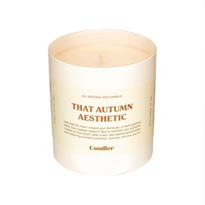 Candier Autumn Aesthetic Soy Wax 9oz Candle Cream - 1 of 4