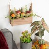 Northlight Mushroom and Foliage Fall Harvest Hanging Wooden Basket - 19" - 3 of 4