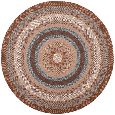 Braided BRD313 Hand Woven Area Rug  - Safavieh