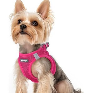 rabbitgoo Small Dog Harness, Step-in Soft Mesh Puppy Vest with Safety Buckle, Breathable Reflective Pet Harness for Small Sized Dogs, Rose Red XS - 1 of 1