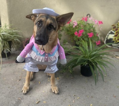 Guest review image 1 of 4, zoom in