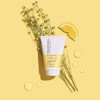 Paul Mitchell Clean Beauty Styling Cream Hair Pomade - 3.4 fl oz - 4 of 4