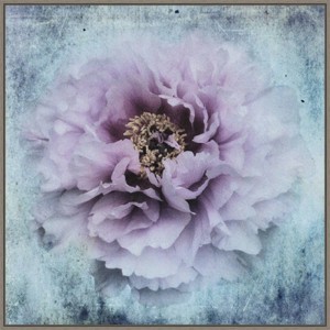 30" x 30" The season I love by Stefan Eisele Framed Canvas Wall Art Print - Amanti Art - 1 of 4
